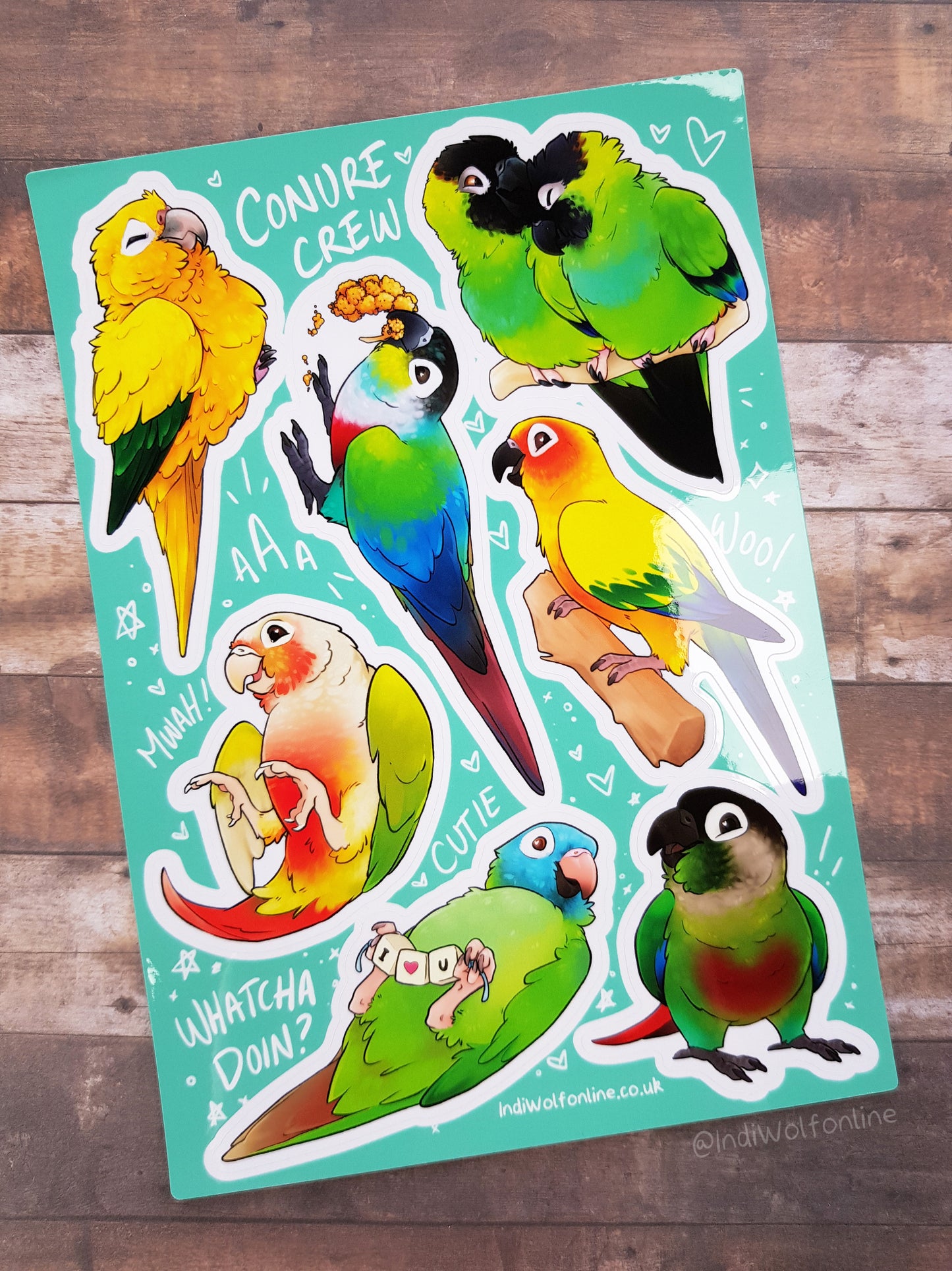 Conure Crew - Clear Vinyl A5 Sticker Sheet