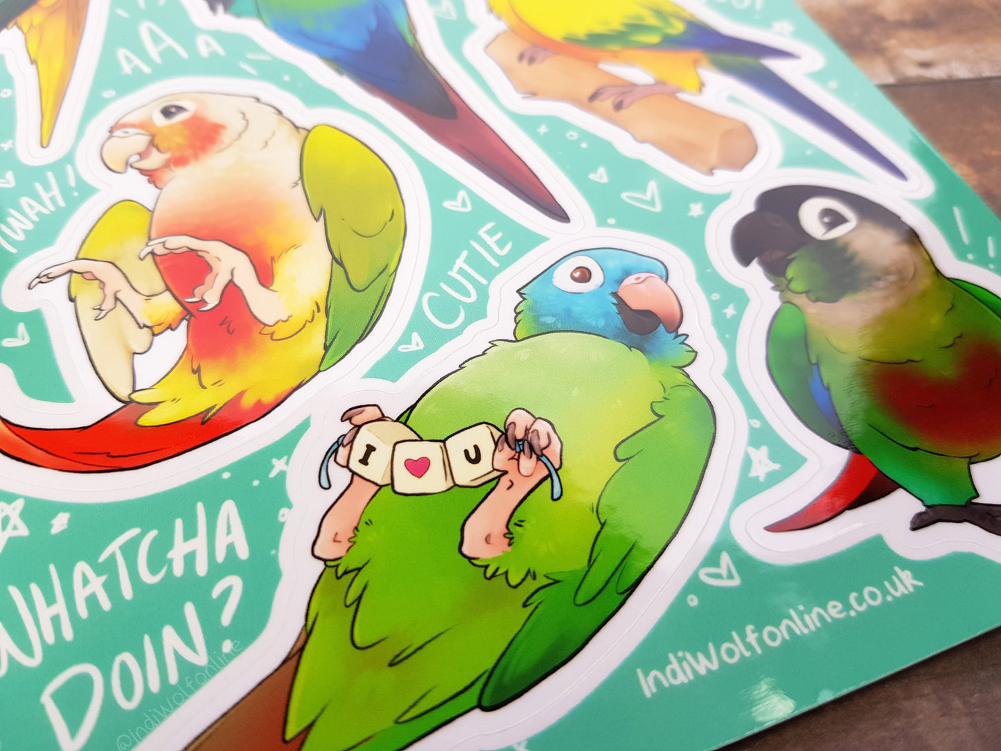 Conure Crew - Clear Vinyl A5 Sticker Sheet