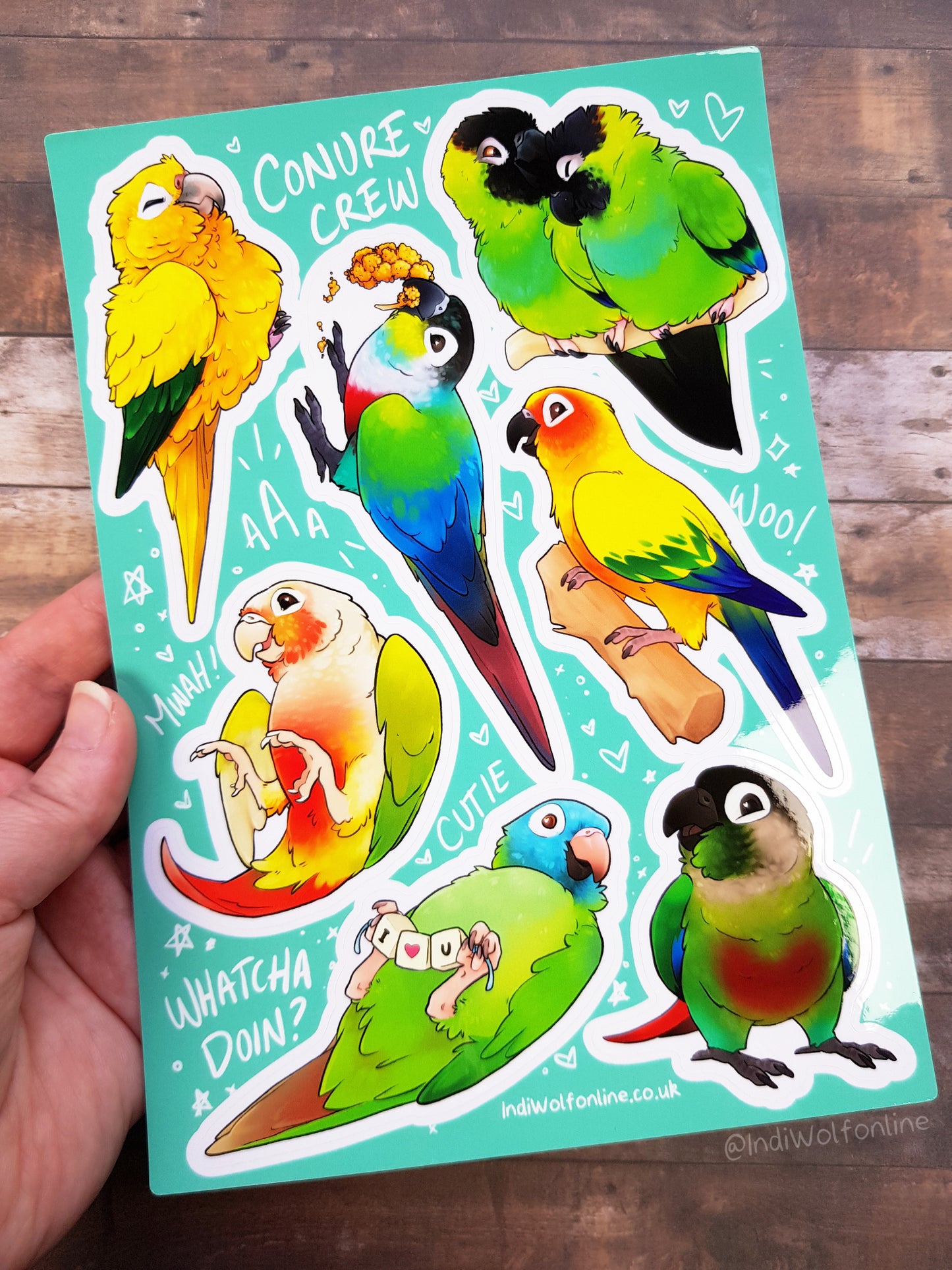 Conure Crew - Clear Vinyl A5 Sticker Sheet