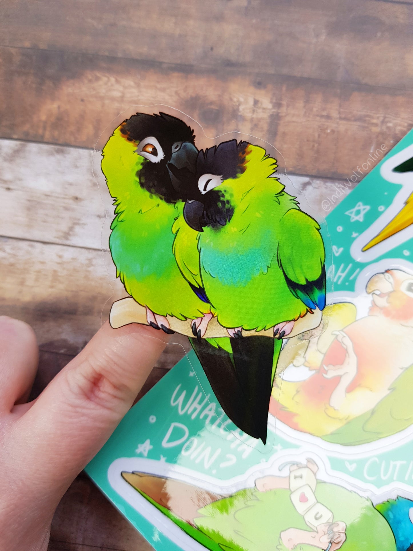 Conure Crew - Clear Vinyl A5 Sticker Sheet