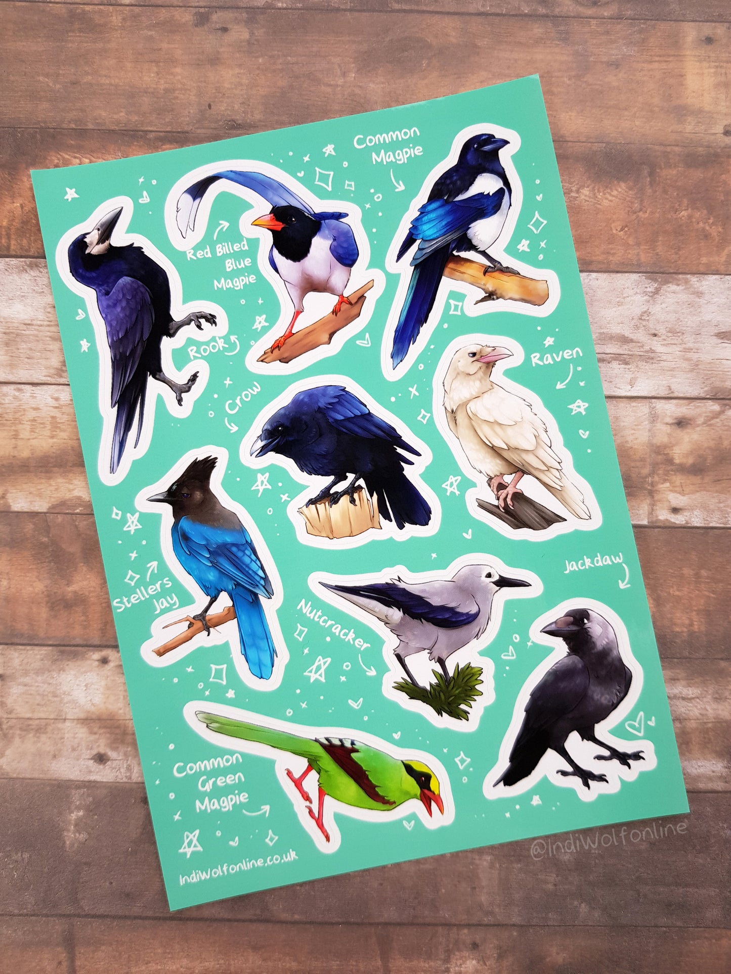 Corvids of the World - Clear Vinyl A5 Sticker Sheet