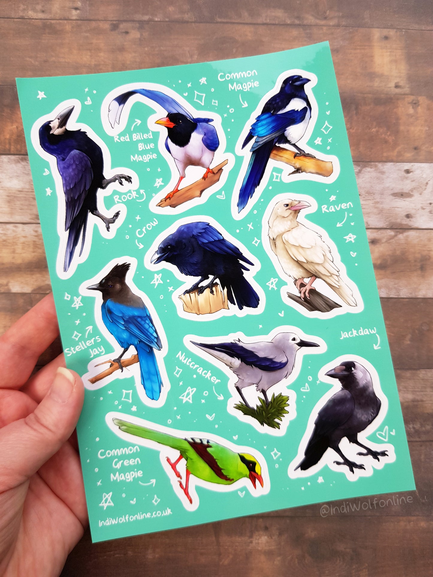 Corvids of the World - Clear Vinyl A5 Sticker Sheet