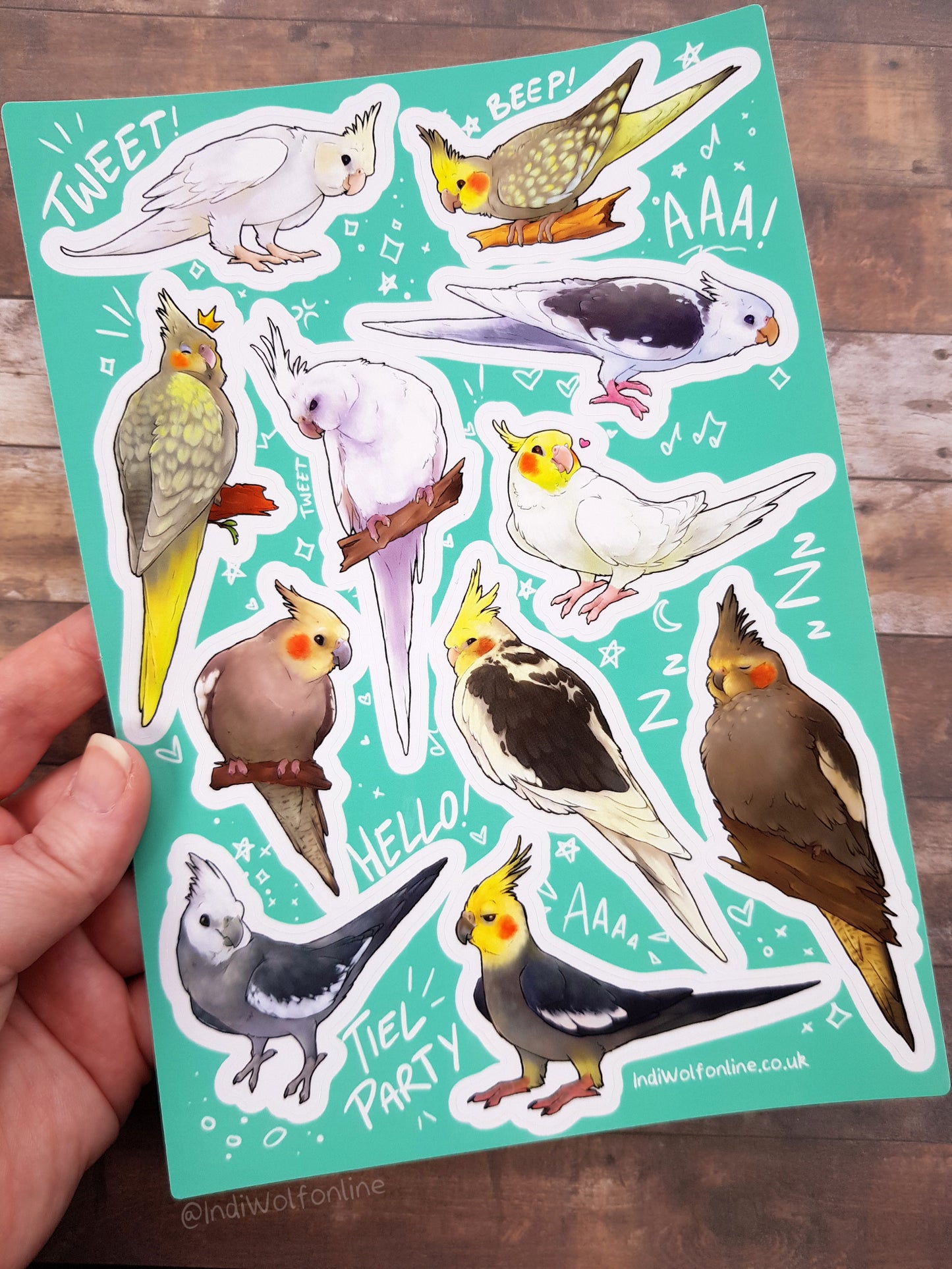 Tiel Party - Clear Vinyl A5 Sticker Sheet