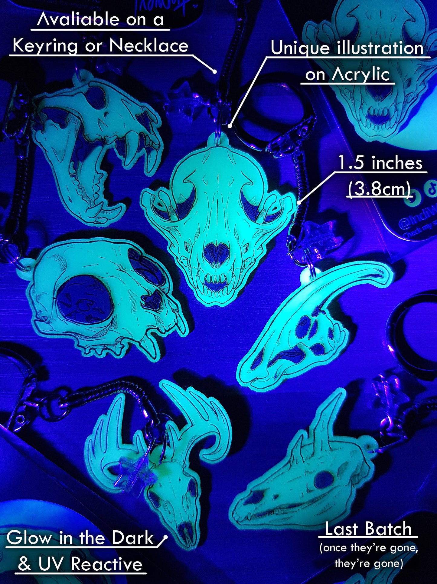 Parasaurolophus Skull - Glow in the Dark Keyring