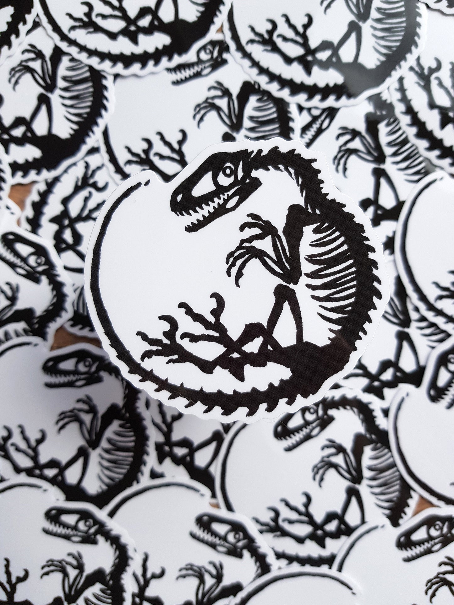 Old Bones - Clear Vinyl Sticker