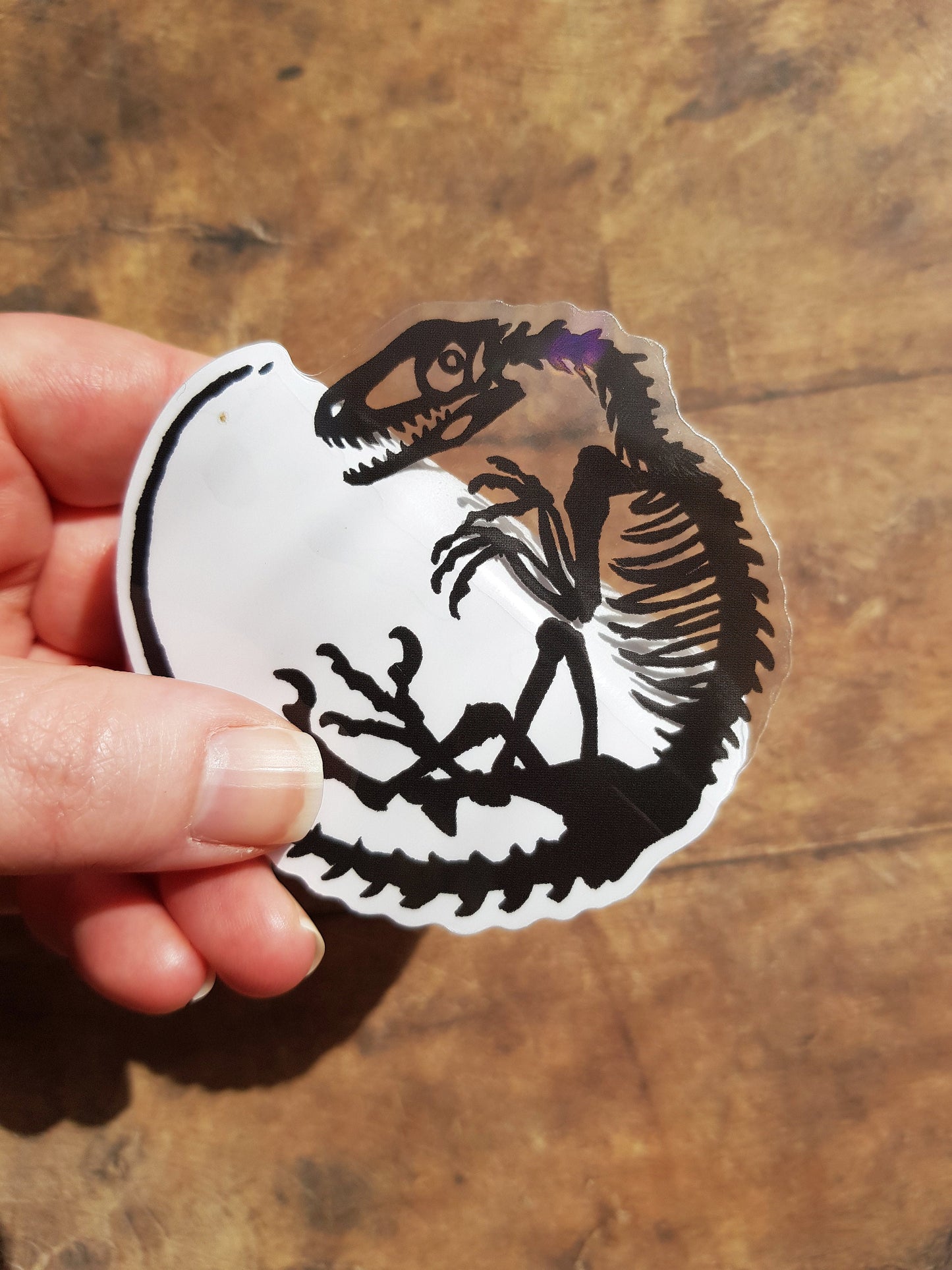 Old Bones - Clear Vinyl Sticker