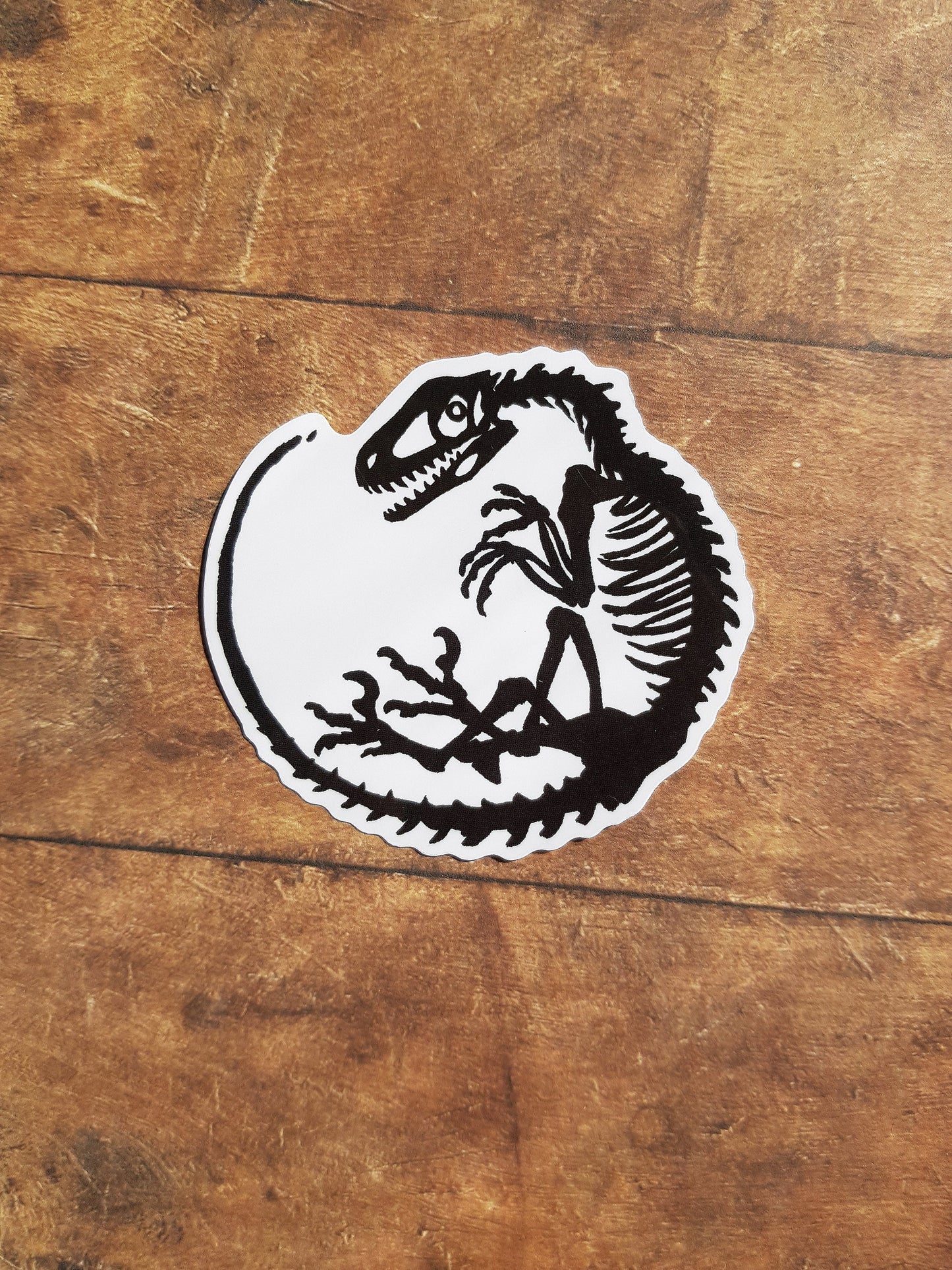 Old Bones - Clear Vinyl Sticker