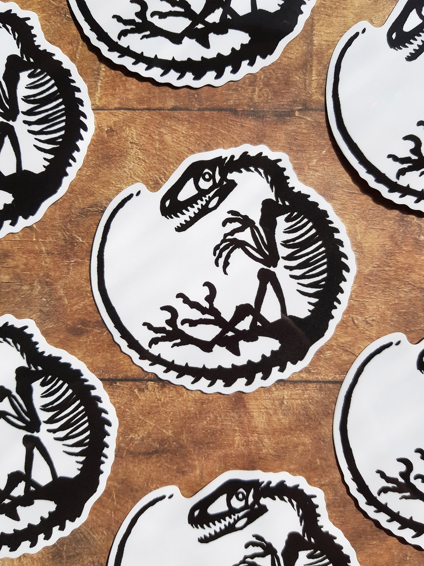 Old Bones - Clear Vinyl Sticker